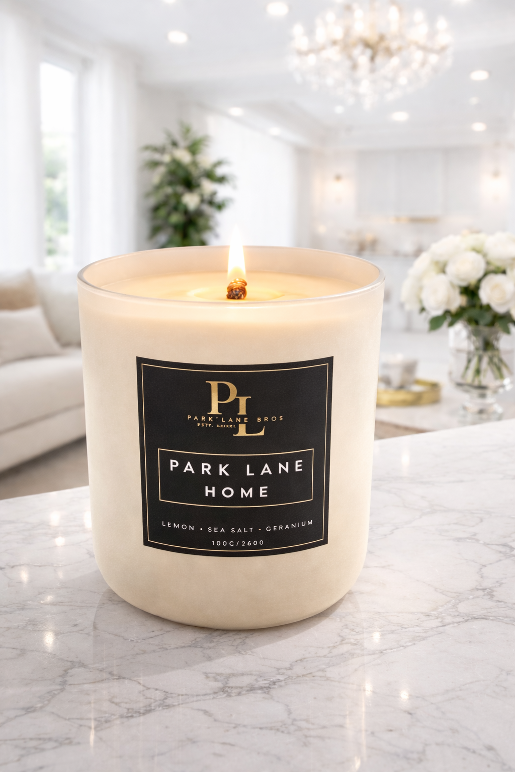 Park Lane Home